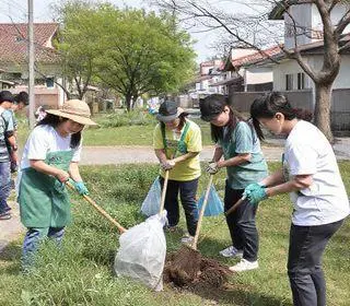 mutirão de limpeza no Bom Retiro