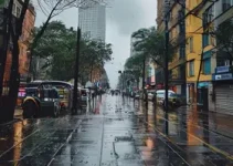 passeios em São Paulo