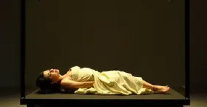 fragilidade da vida humana