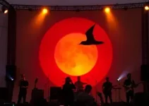 Swallow the Sun