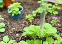 Irrigação de Plantas Domésticas com Arduino
