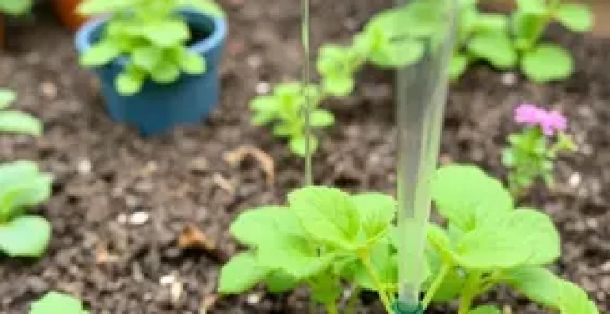 Irrigação de Plantas Domésticas com Arduino