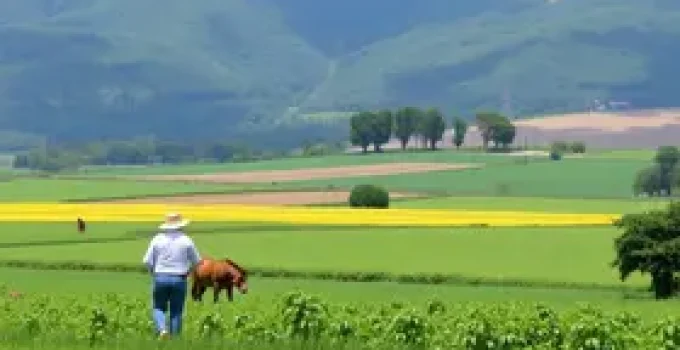 arrendamento agrícola