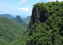 Cantos Negros do Brasil