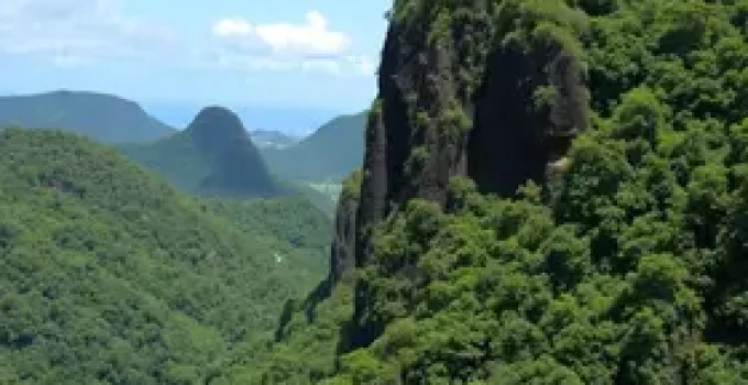 Cantos Negros do Brasil