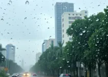 Defesa Civil de SP