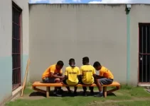 Febem Sesc São Paulo