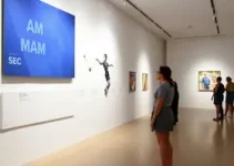 exposição MAM e Sesc