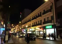 vocação dos bairros de SP