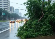 chuva em SP